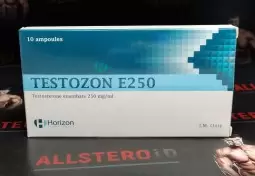 HORIZON TESTOZON E 250mg/ml - ЦЕНА ЗА 10 АМПУЛ